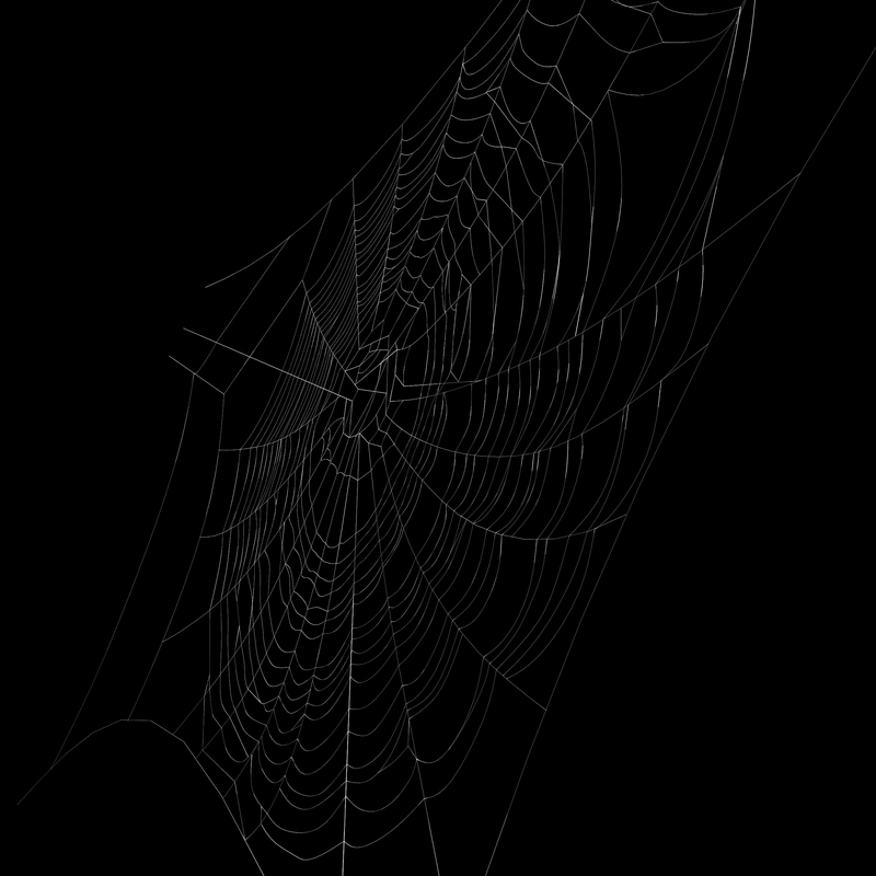 spider web 3d model