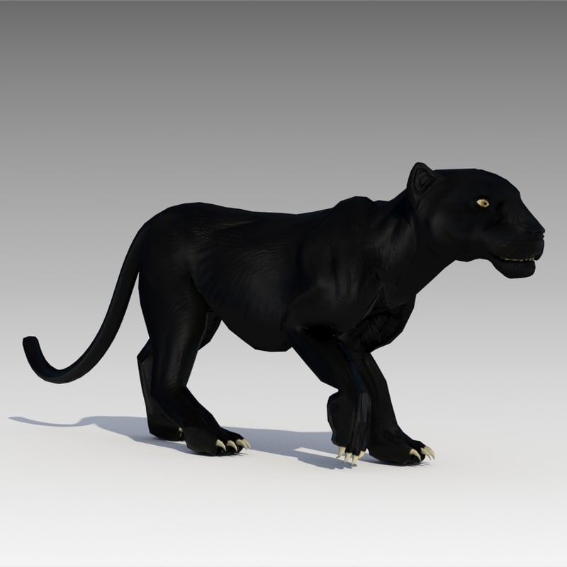  3d  black  panther  animations model