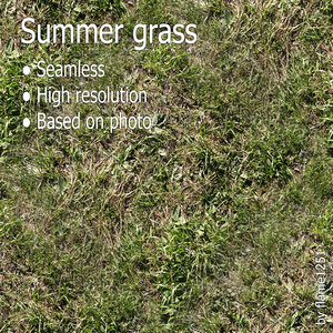Summer Grass Texture - High-Resolution Seamless Surface
