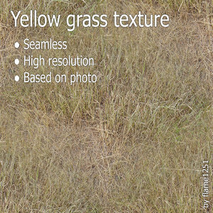 Yellow Grass Texture - High-Resolution Seamless Surface