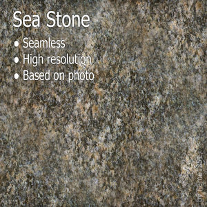 Ocean Shore Stone - Seamless High-Resolution Texture
