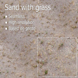Sand with Grass - Seamless High-Resolution Texture