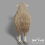 3d model sheep fur
