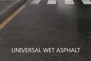 road universal wet asphalt 3d max