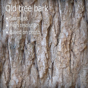  Seamless Old Tree Bark - Seamless High-Resolution Texture