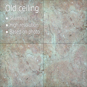 Old Ceiling - Seamless High-Resolution Texture