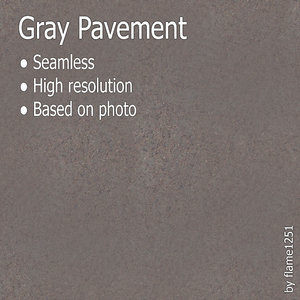 Gray Pavement - Seamless High-Resolution Texture
