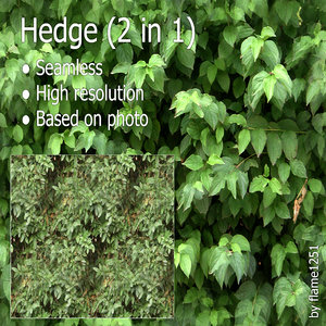 Hedge Texture Pack 2-in-1 - Seamless and High-Resolution