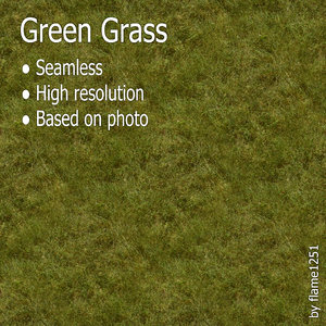 Fresh Green Grass - Seamless High-Resolution Texture