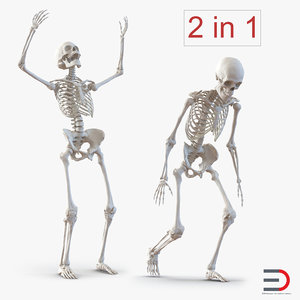 3d human skeletons rigged