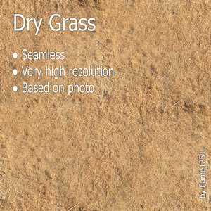 Dry Grass Texture - High-Resolution Seamless Surface