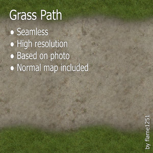 Grass Path - High-Resolution Seamless Texture