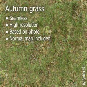 Autumn Grass - Seamless High-Resolution Texture Includes Normal Map