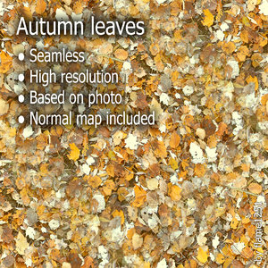 Autumn Leaves Ground - Seamless High-Resolution Texture