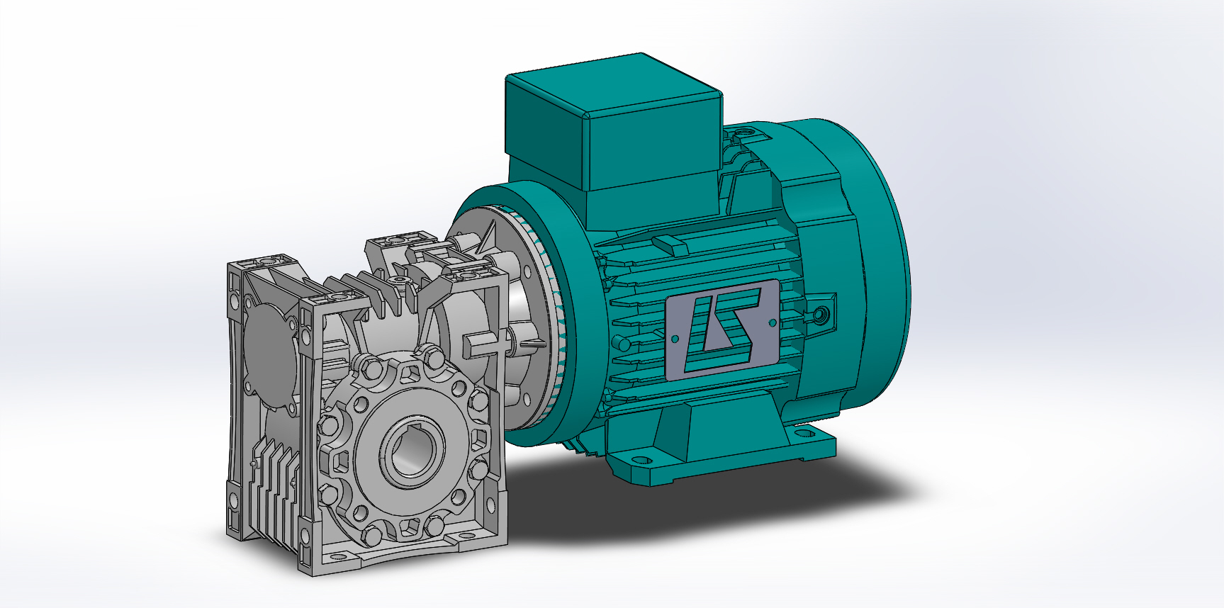 max worm gear motor