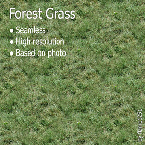 Fresh Forest Grass - Seamless High-Resolution Texture