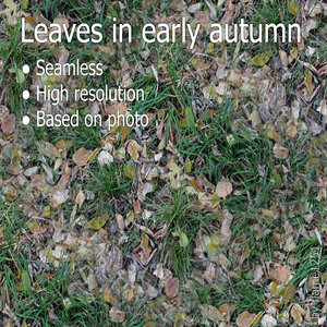 Early Autumn Leaves Ground - Seamless High-Resolution Texture