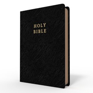3d model holy bible