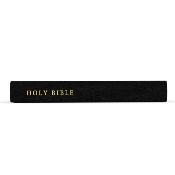 3d Model Holy Bible