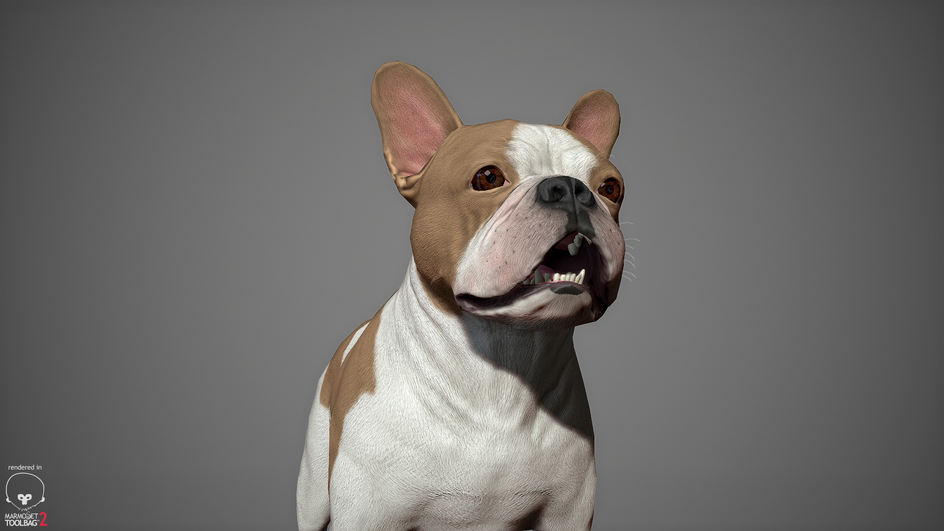 french bulldog real-time