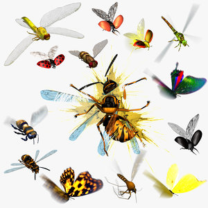 Animated flying insects. Dead insects. Splatters.