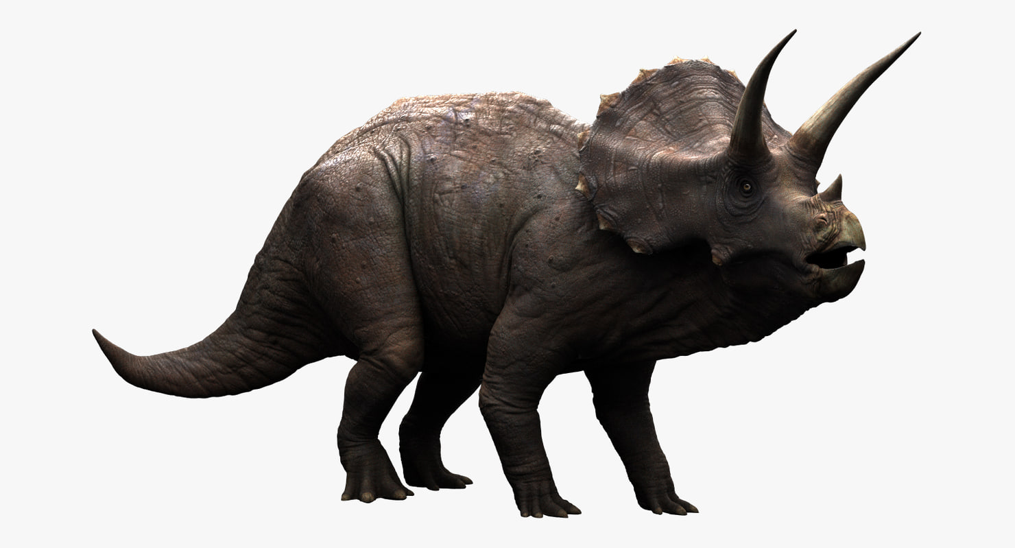 brutus triceratops