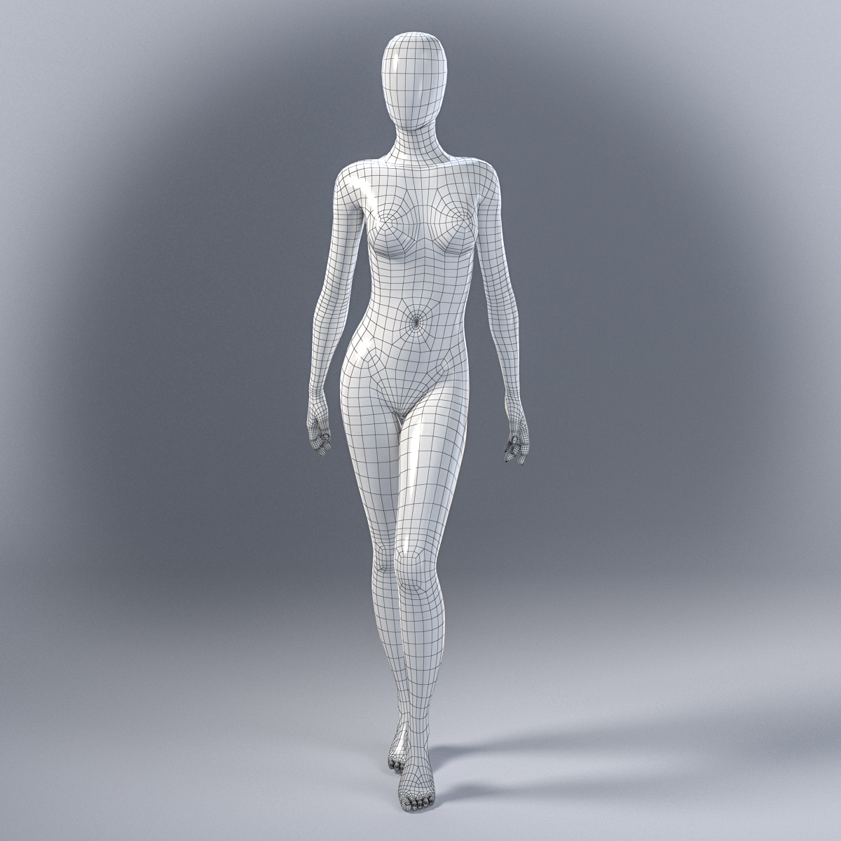 Female Mannequin 3d Model