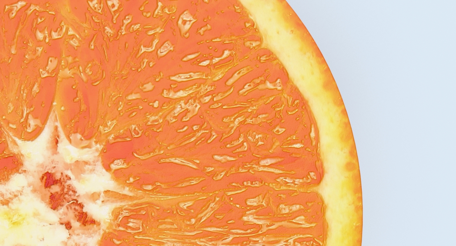 3d model tangerine cross section