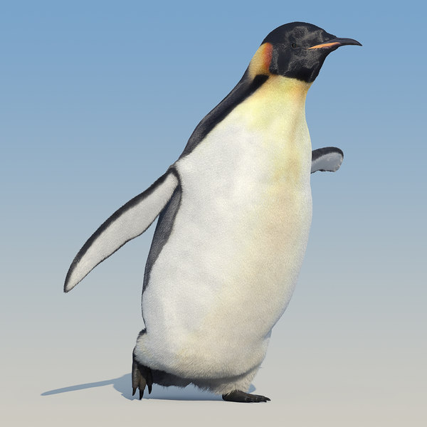 皇帝ペンギン Fur アニメーション 3dモデル Turbosquid