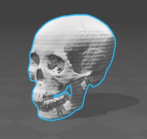 skull00 asian dry data 3d model
