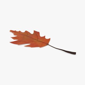 3d model oak-leaves-01---orange