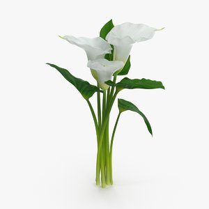 3d calla-lily---3-lilies-close-group