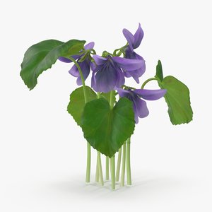 violet group 3d model