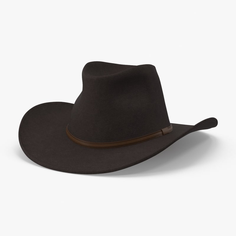 Cowboy Hat 3D Models for Download TurboSquid