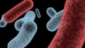 free c4d model bacteria