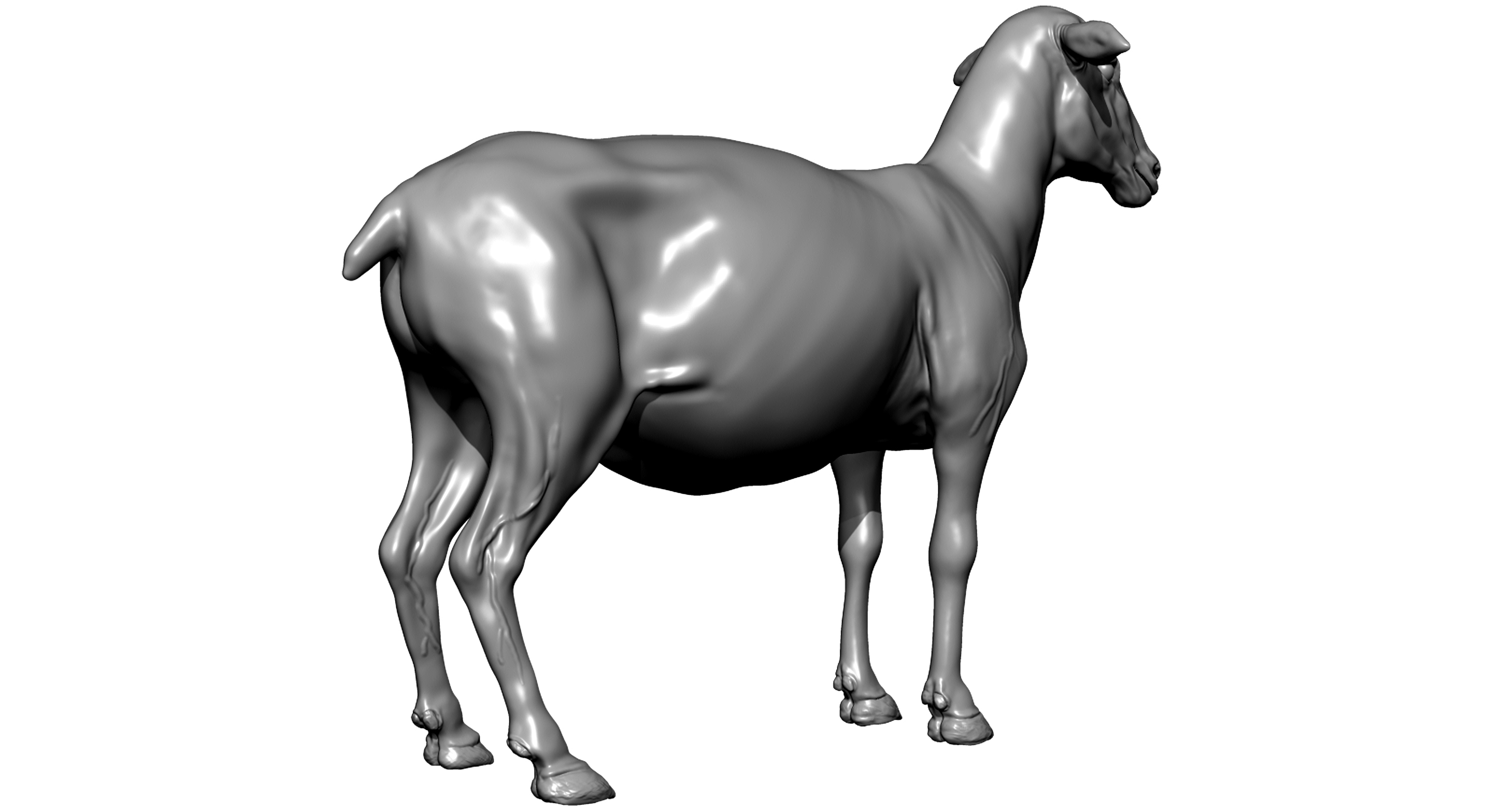 羊3d模型