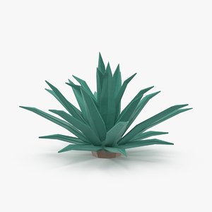 desert plant cactus 02 3d model