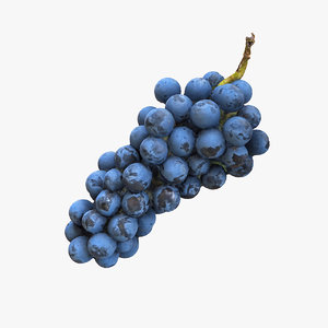 scan grape realistic max
