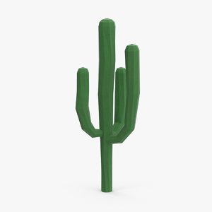 3d saguaro cactus 02