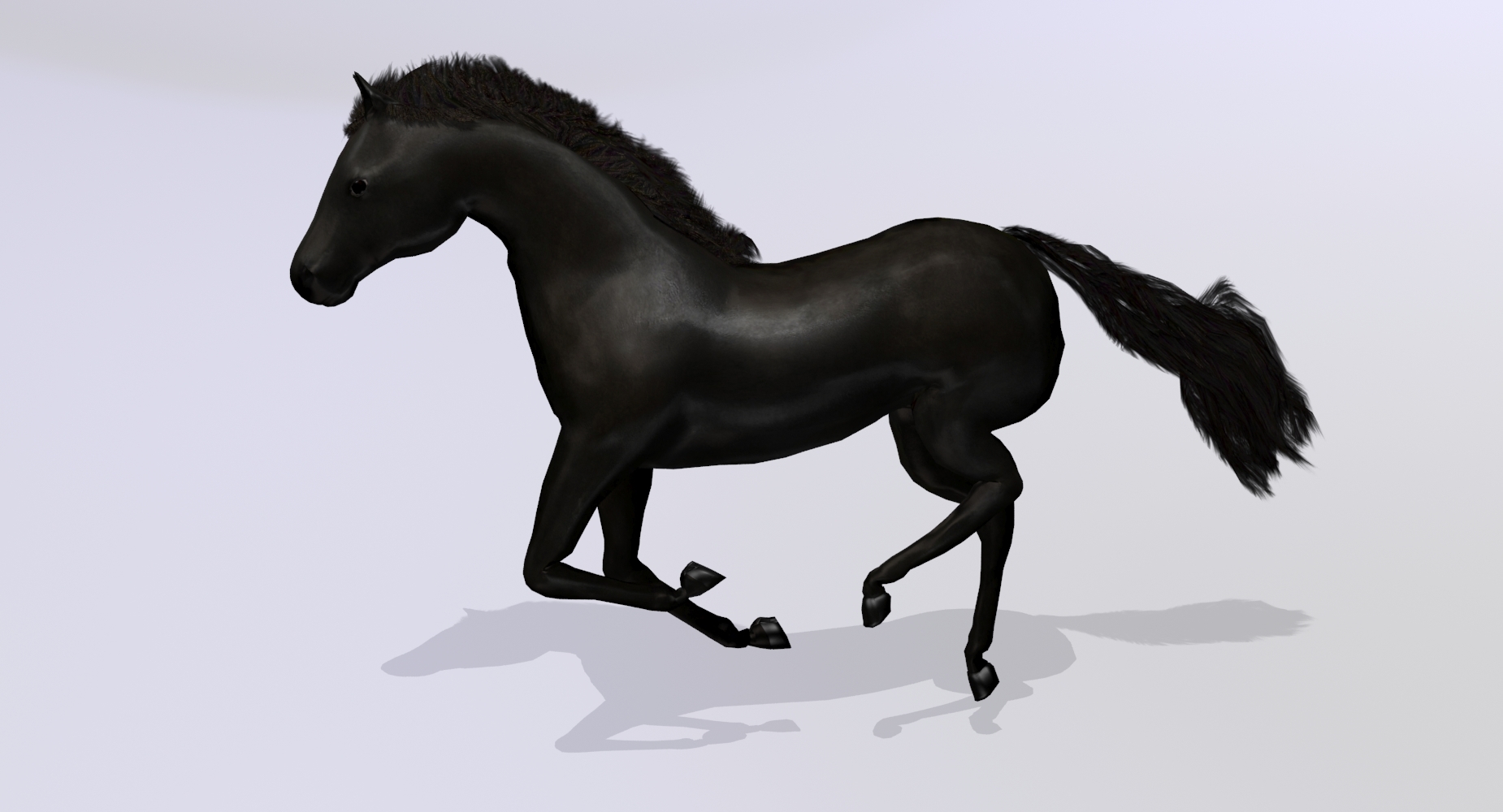 horse black animation 3d max