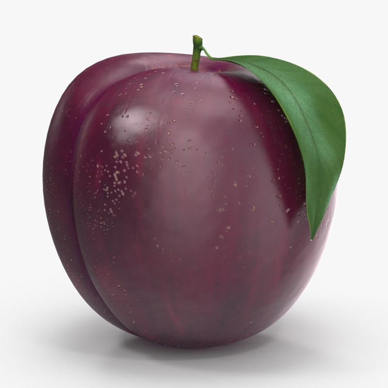 Plum 3D Models for Download TurboSquid