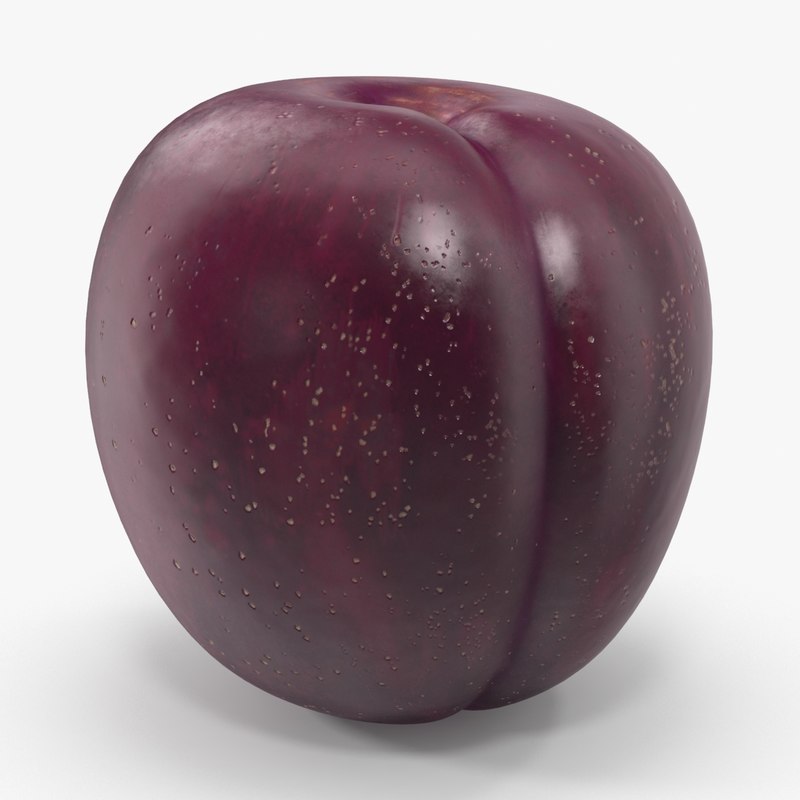 Plum 3D Models for Download TurboSquid