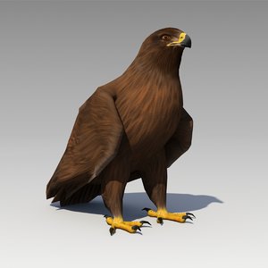 3d model golden eagle animations