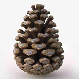 3d model pine cone