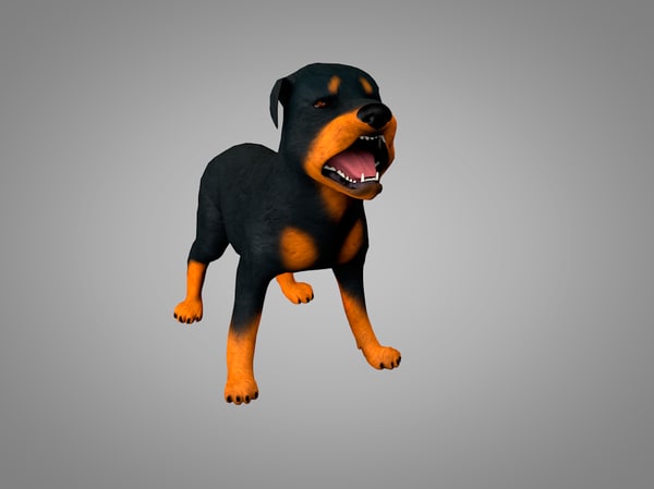 犬ロットワイラー3dモデル Turbosquid