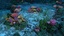 ocean floor coral reefs 3d max