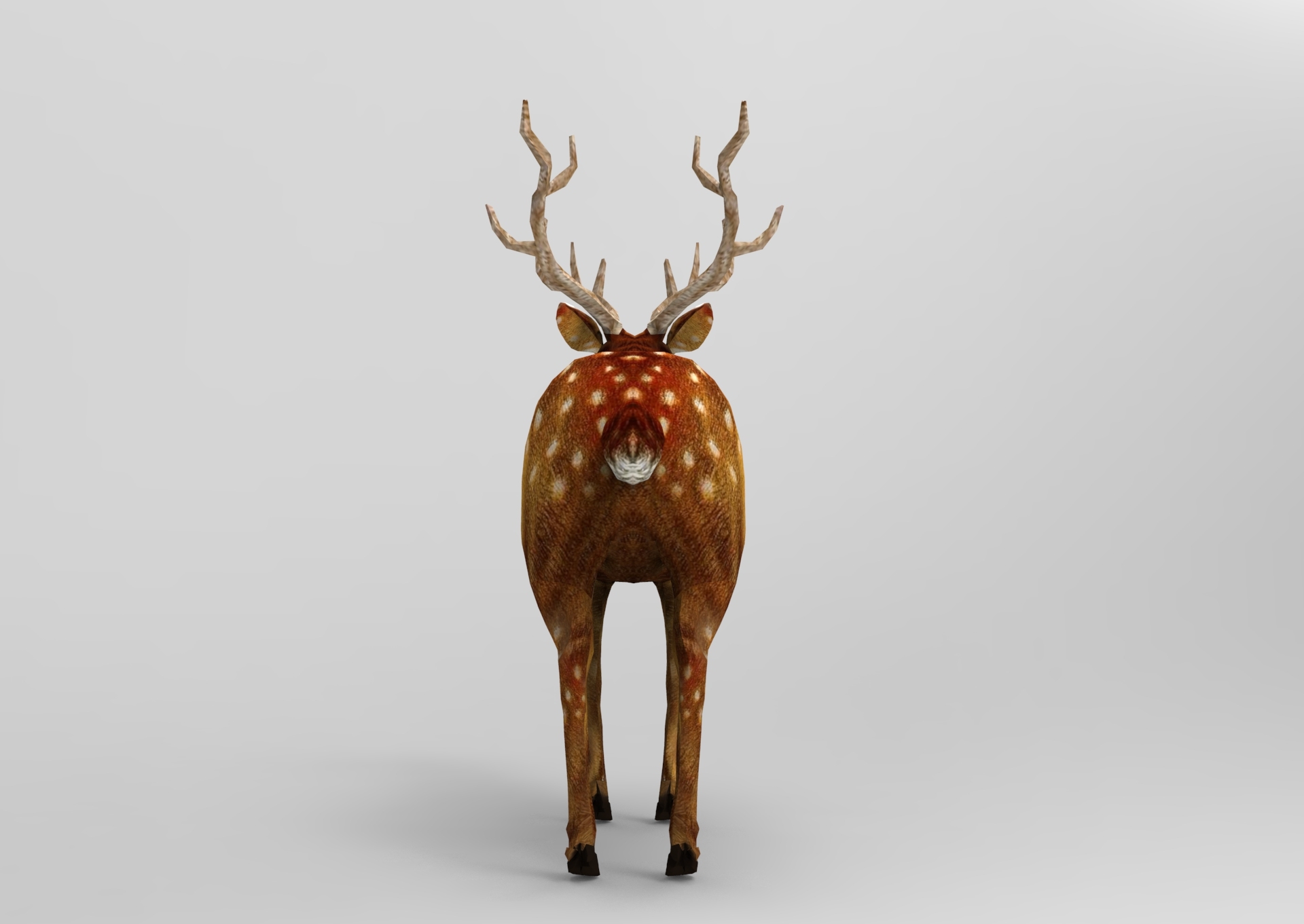 鹿操纵低聚游戏准备模型3d模型