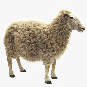 sheep realistic fur 3d max