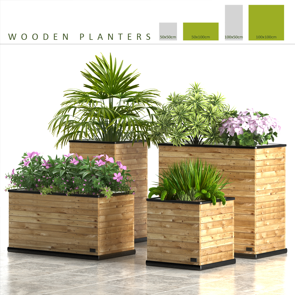 Planter Box Plants Max