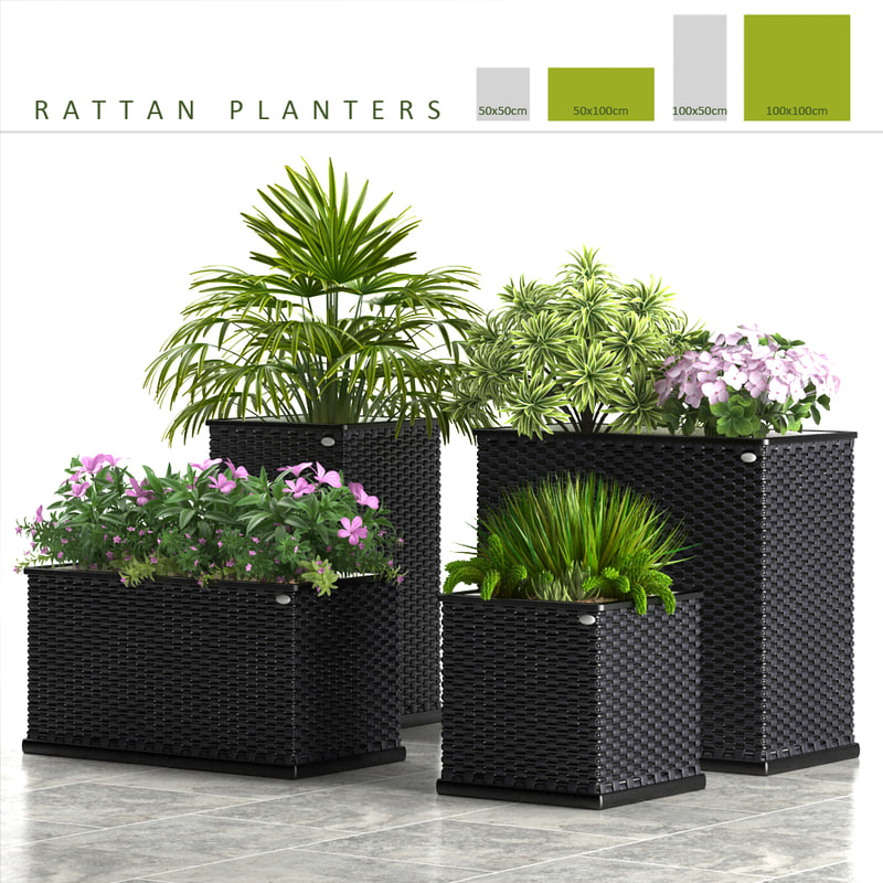 rattan planter  box plants 3d  model 